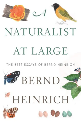 americanbookwarehouse10-875877