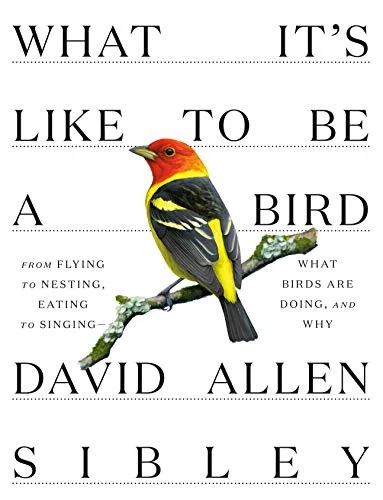 americanbookwarehouse10-877440