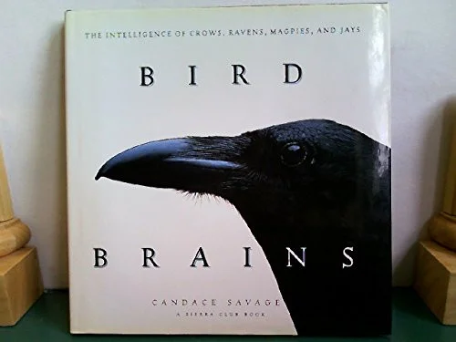 americanbookwarehouse10-882937