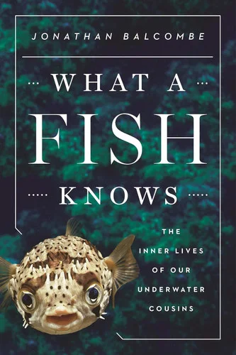 americanbookwarehouse10-885710