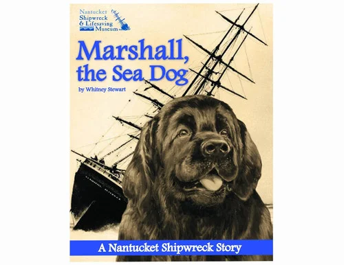 americanbookwarehouse10-892108