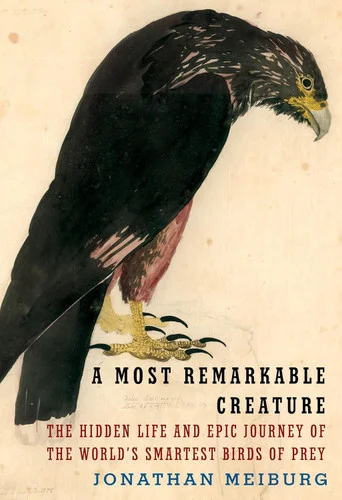 americanbookwarehouse10-893994