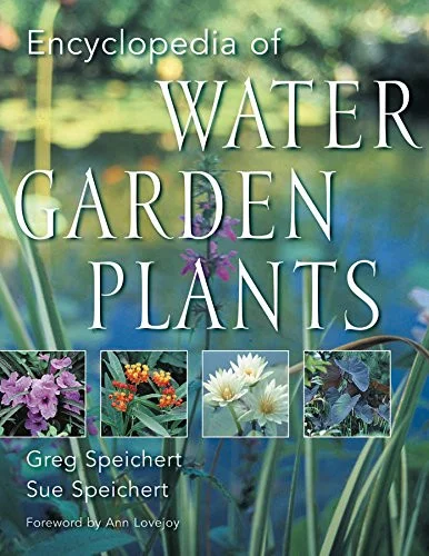 americanbookwarehouse10-894022