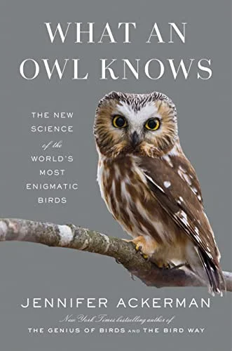 americanbookwarehouse10-898364