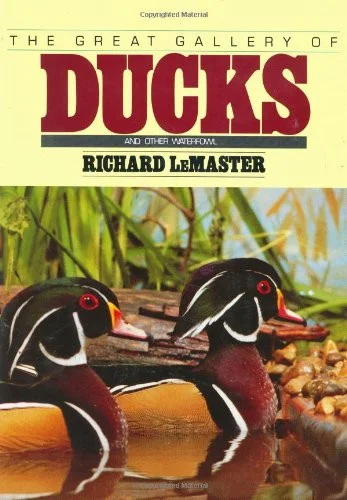 americanbookwarehouse10-899984