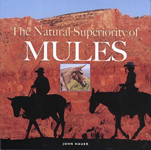 americanbookwarehouse10-900166