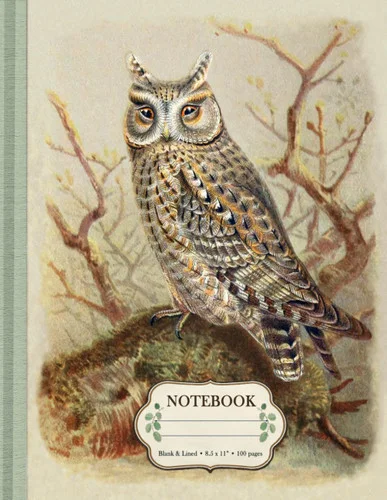 americanbookwarehouse10-906853