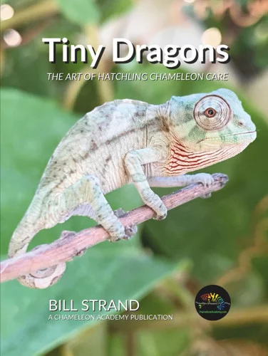 americanbookwarehouse10-925258