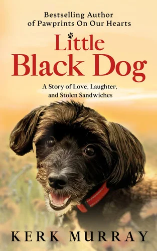 americanbookwarehouse11-1068845
