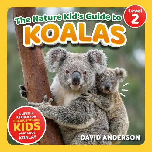 americanbookwarehouse11-1088867