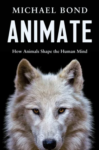 americanbookwarehouse11-1089746