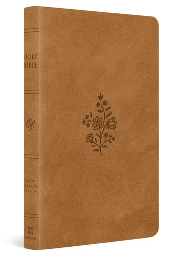 americanbookwarehouse11-1102333