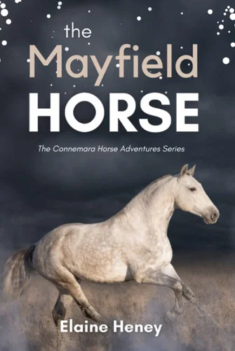 americanbookwarehouse11-1110544
