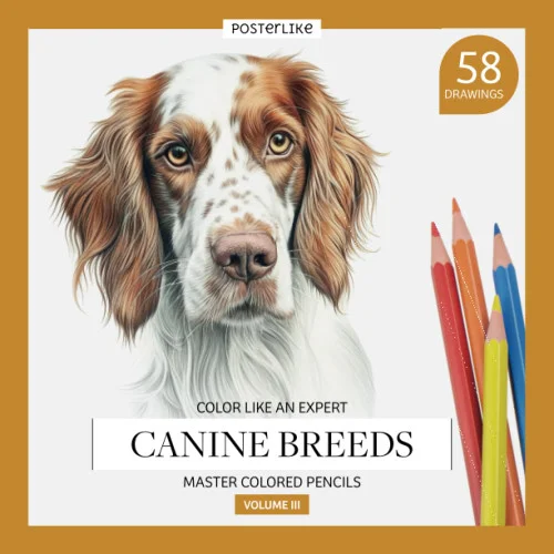 americanbookwarehouse11-1122636