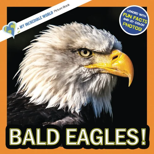 americanbookwarehouse11-1123107