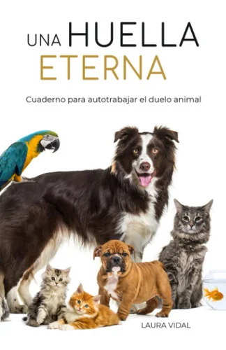americanbookwarehouse11-1124187