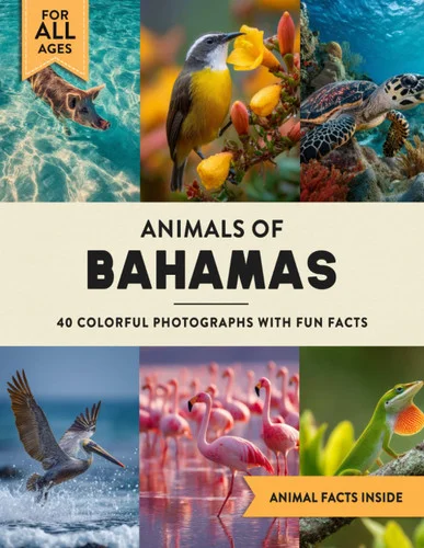 americanbookwarehouse11-1126188