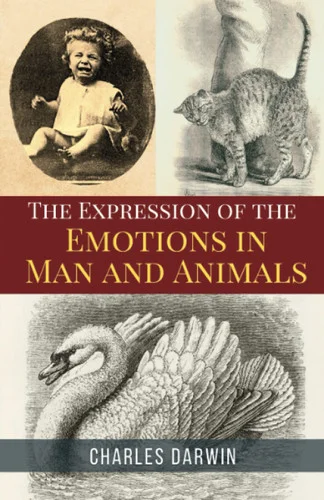 americanbookwarehouse11-1128690