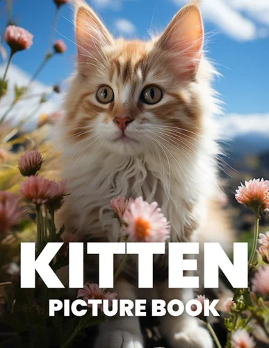 americanbookwarehouse11-1130922