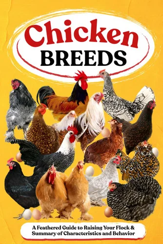 americanbookwarehouse11-1133823