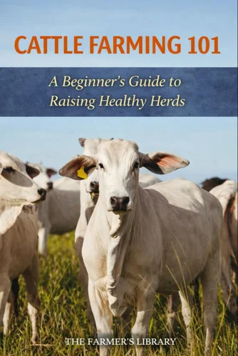 americanbookwarehouse11-1144935