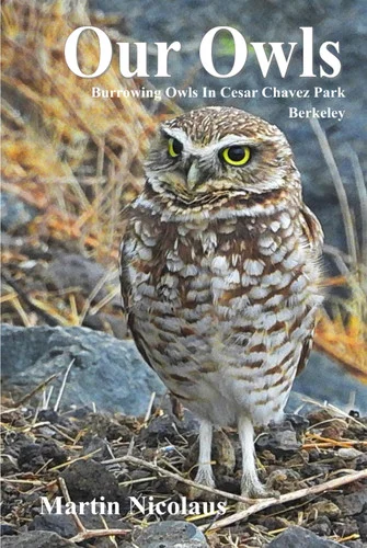 americanbookwarehouse12-1784284