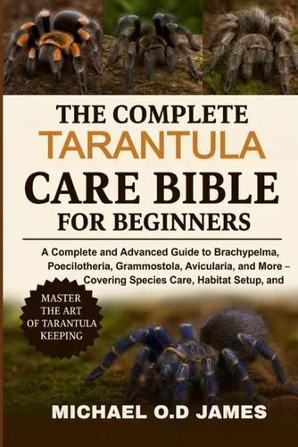 americanbookwarehouse12-1793059