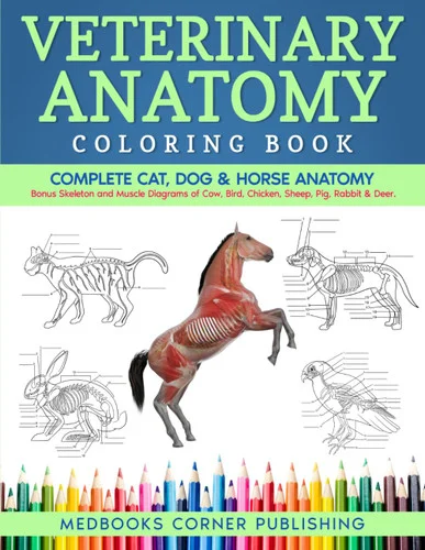 americanbookwarehouse12-1826953