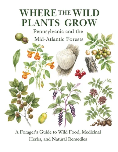 americanbookwarehouse12-1833040
