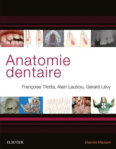 antoineonline10-1466879