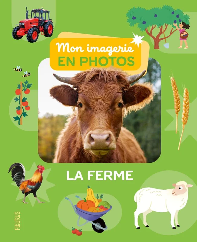 antoineonline10-1496717