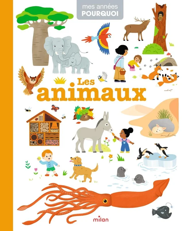 antoineonline10-1500380
