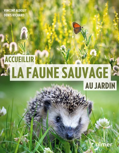 antoineonline8-1307124