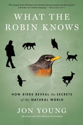discountmags14-1724335