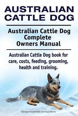 discountmags8-1161149