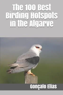 discountmags8-1194774