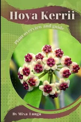 discountmags8-1211658