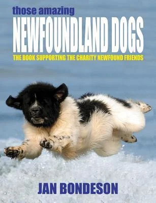 discountmags9-1274415