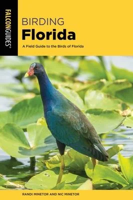 discountmags9-1281843