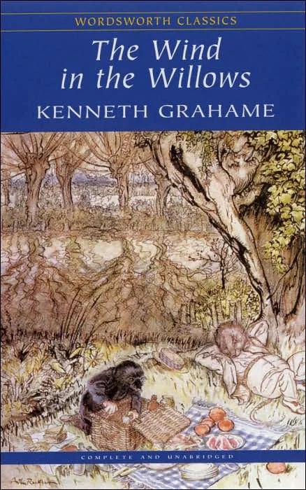 tatteredcover16933373