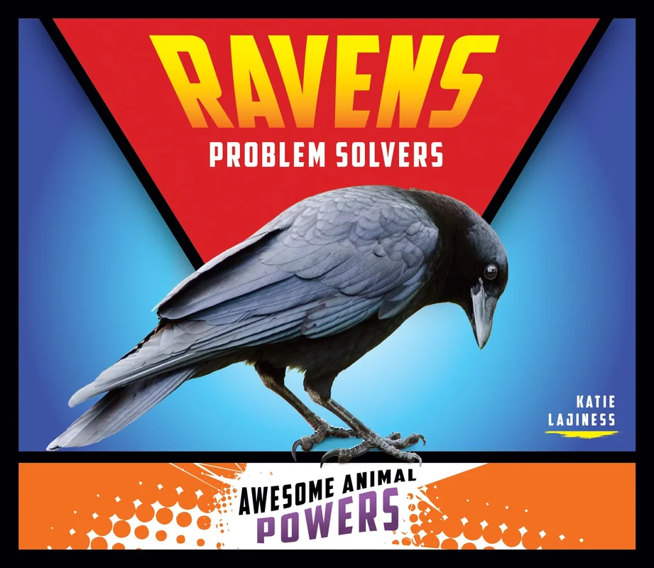 tatteredcover16952541