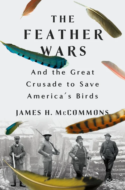 tatteredcover171220417