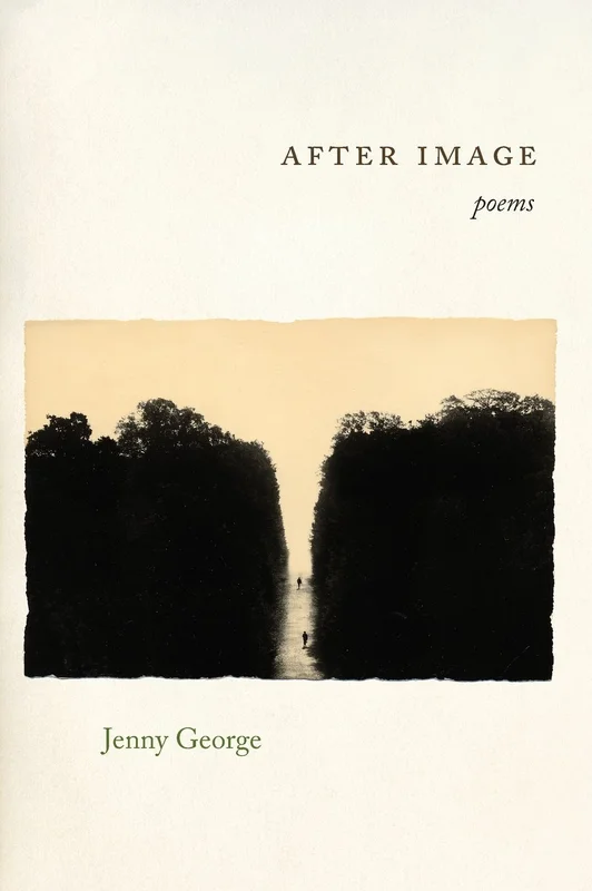 tatteredcover171253106